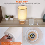 Warm White Bedside Lamp USB Plug Modern Bedroom Lamp
